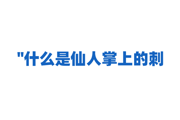 "什么是仙人掌上的刺？它们的作用是什么？"